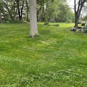 yard maintenance by Lawn Barber reviewed on May 9, 2025