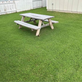 yard maintenance by Montalvo Lawn Care reviewed on August 21, 2025