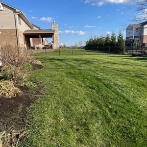 yard care by Premier Property Care LLC reviewed on August 15, 2025