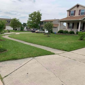 yard maintenance by Egbert landscape reviewed on December 3, 2025