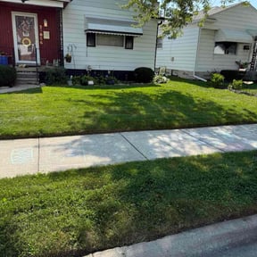 lawn care services by Avilas Landscape and Hauling reviewed on August 15, 2025