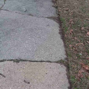 Leaf Removal by WLQ Solutions reviewed on January 21, 2026