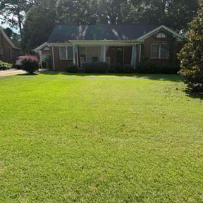 yard maintenance by Preneta Landscape and Design LLC reviewed on December 4, 2025