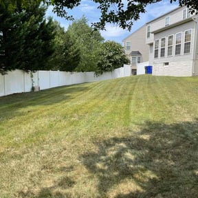 lawn care services by Nycstro LLC reviewed on April 19, 2024