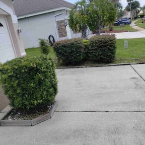 Flower Bed Weeding by T & Z Lawn & Tractor Service reviewed on August 19, 2025