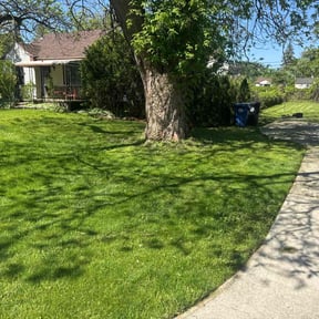 residential landscaping by Pack Lawncare reviewed on August 20, 2025