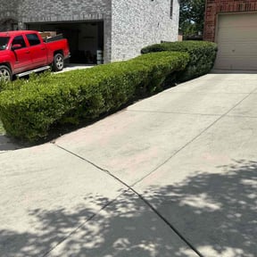 Bush Trimming by F&J RENOVATION LLC reviewed on August 20, 2025