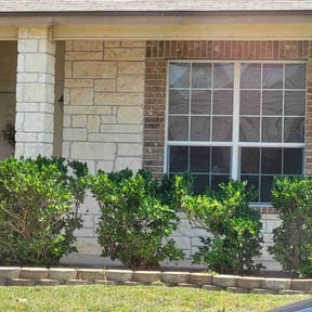 Bush Trimming by Lawn brothers reviewed on October 20, 2025