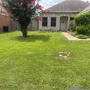 yard maintenance by Greenveeno Property services LLC reviewed on August 18, 2025