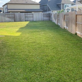 landscape maintenance by Manuel's lawn care reviewed on August 17, 2025