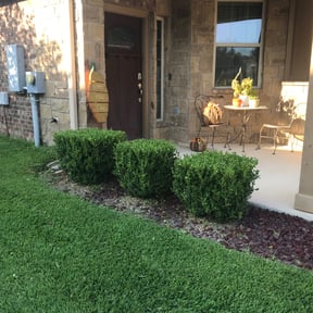 Bush Trimming by 2 Ez Junk removal/ Services reviewed on August 20, 2025