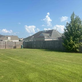 yard service by Covenant Property Management reviewed on August 20, 2025