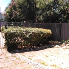Bush Trimming by Green Thumb Lawn Care reviewed on October 7, 2023