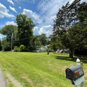 lawn service by chameleon lawn care reviewed on August 21, 2025