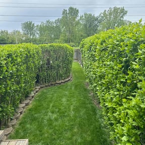 gardening service by Atlas Landscape Design reviewed on August 21, 2025