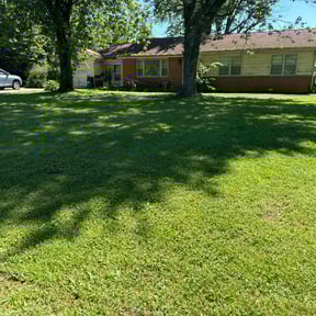 lawn care services by J&amp;J property management reviewed on April 24, 2024