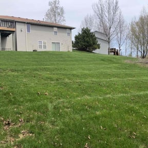 landscaping services by AYS reviewed on December 1, 2023