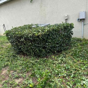 Bush Trimming by Alfaro’s Lawncare reviewed on October 23, 2025