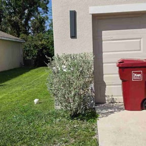 Bush Trimming by Whitfield contracting LLC reviewed on July 17, 2026