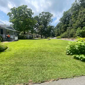 gardening service by Mother Nature Cuts LLC reviewed on August 17, 2025