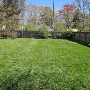 yard care by Pristine Lawns, LLC reviewed on August 16, 2025