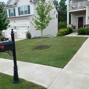 yard service by Tucker Enterprises reviewed on November 20, 2025