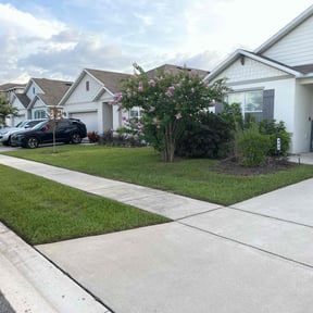 landscaping services by Willie Lawn Care and More LLC reviewed on August 16, 2025