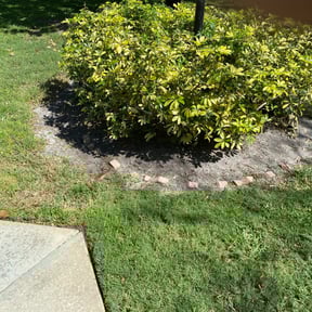 Flower Bed Weeding by Metroscapes Lamdscaping Services reviewed on August 17, 2025