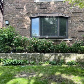 Bush Trimming by Bestway Lawn Care reviewed on August 19, 2025