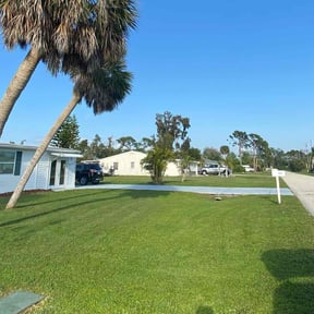 landscaping by The Competition landscaping reviewed on November 18, 2025