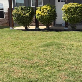 Bush Trimming by L&amp;C LANDSCAPING SERVICES reviewed on August 3, 2026