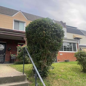 Bush Trimming by Martin LLC reviewed on October 18, 2025