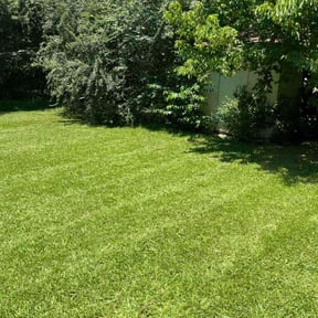 yard maintenance by 5G LawnCare reviewed on August 19, 2025