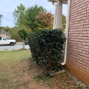 Bush Trimming by Lamarcus Lawncare Maintenance reviewed on August 17, 2025