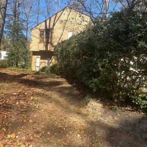 Bush Trimming by My Dad Can reviewed on November 20, 2025