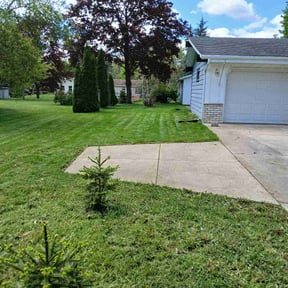 turf maintenance by The lawn Service,LLC reviewed on June 12, 2025