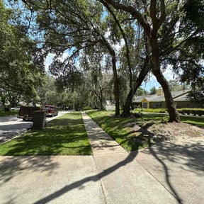 grass maintenance by Signature Lawn Pros reviewed on July 11, 2025