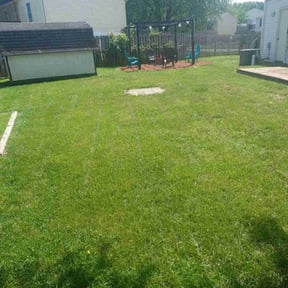 turf care by Bb Cutts reviewed on April 17, 2024