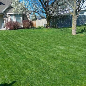 yard care by G&M Landscaping Services reviewed on August 19, 2025