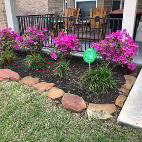 Flower Bed Weeding by Lewis Lawn solutions reviewed on August 21, 2025