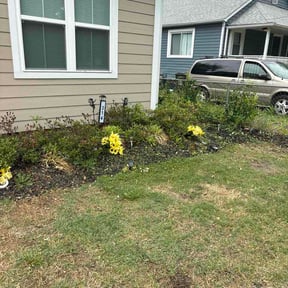 Bush Trimming by KB lawn care reviewed on May 6, 2026