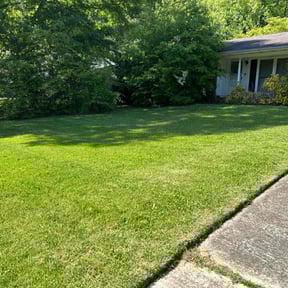 yard care by Yard pro reviewed on August 19, 2025