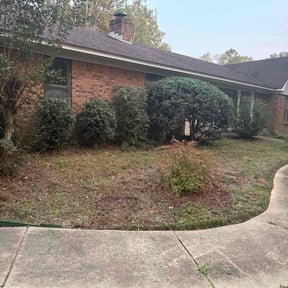 Bush Trimming by Aidens Construction reviewed on November 21, 2025