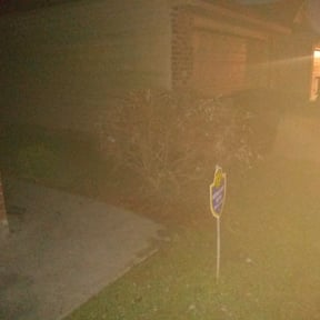 Bush Trimming by Grant Home and Lawn reviewed on August 18, 2025