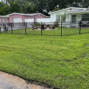 yard care by BRDOC - Lawn Care reviewed on November 24, 2025