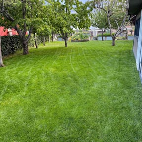 yard care by American lawn care reviewed on August 17, 2025