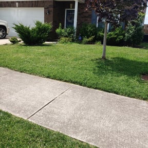 lawn care services by Serenity Lawn and Leaf reviewed on May 15, 2025