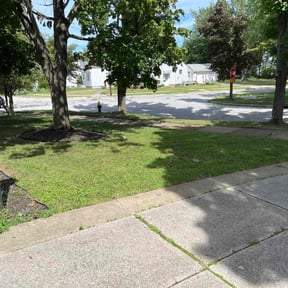 Leaf Removal by Good fellas landscaping &janitorial llc reviewed on August 15, 2025