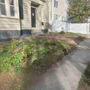 Leaf Removal by Our Vision Media LLC reviewed on November 21, 2025