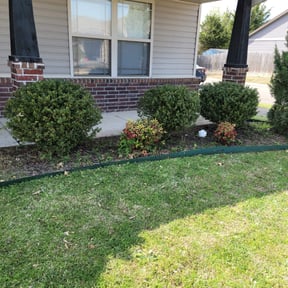 Bush Trimming by Sam's Total Lawn Care reviewed on August 21, 2025
